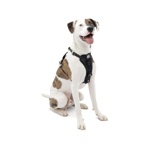 Car Harness for Dogs